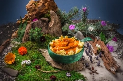 Kuře na paprice s těstovinami 85 g (250 g finálního jídla)